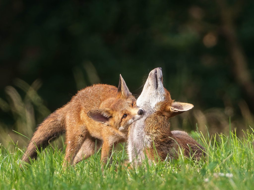 Mother and Son