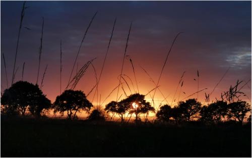 HC Intermediate Sunset Silhouette by Mark Jones