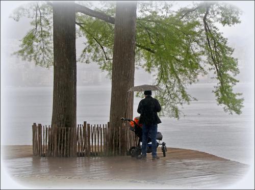 Taking Shelter by Ron Hopkins
