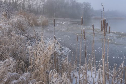 4th Place - Frozen by Norman O'Neill