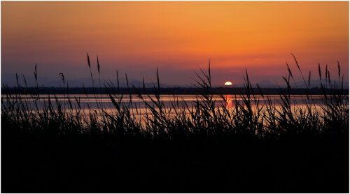 Runner Up - The Remains of the Day by Caron Malcolm