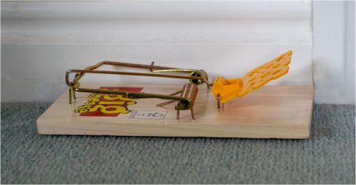 C - The Rat Trap by Christine Walford