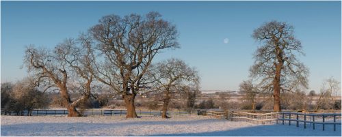 3rd Place Intermediate - Winter Moon at Sunrise by Mark Jones