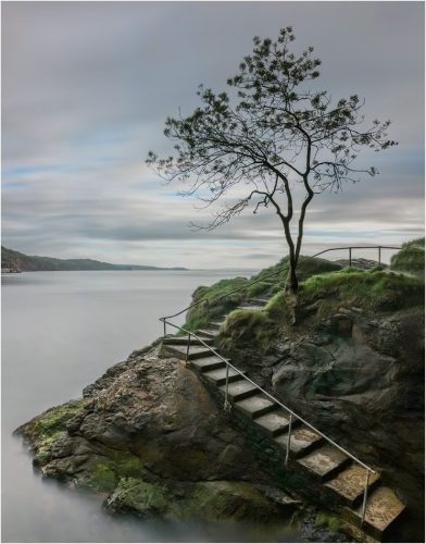 HC Advanced, Lone Tree by Maria Macklin